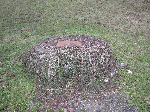 Nekoč vodnjak je bil