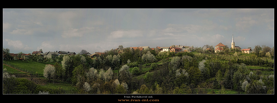 Preloka ko cvetijo če&scaron;nje