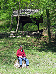V Pavlinskem bregu