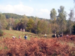 Od zgoraj