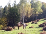 Stožina