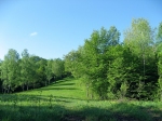 kozja-reber-maja.jpg