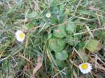 dscn0643.jpg