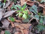dscn0648.jpg