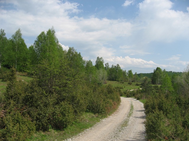 marindolski-steljniki